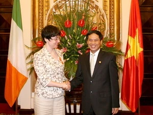越南向爱尔兰驻越大使授予友好勋章